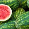 Srinagar Watermelons Safe, Confirms J&K Food Safety Dept