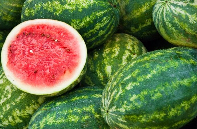 Srinagar Watermelons Safe, Confirms J&K Food Safety Dept