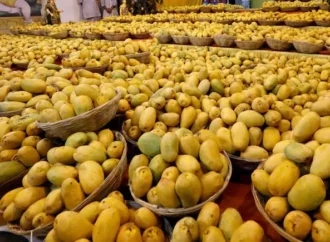 Paperwork Slip Costs Indian Mango Exporters Big in the U.S.