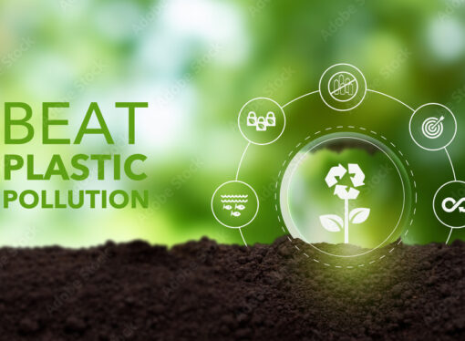 World Environment Day 2025: How Plastic Pollution Threatens Our Food Safety
