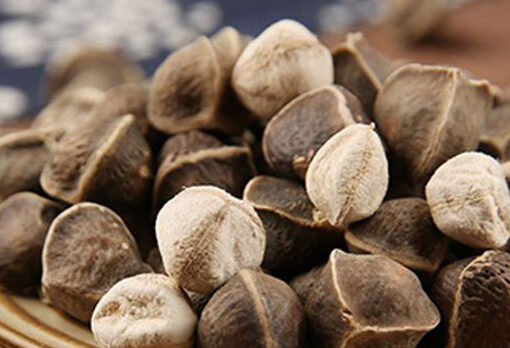 Moringa Seeds: The Tiny Superfood Making a Big Impact