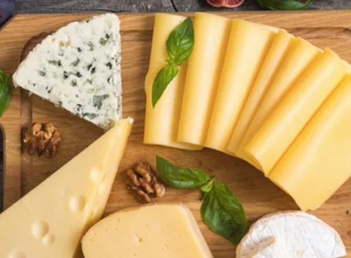 World Cheese Day Special: Handle, Store, and Love Your Cheese Right!