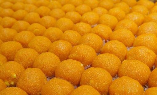 FDA Probes Pune Shop After Human Thumb Found in Laddus