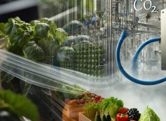 CO₂: The Hidden Hero of Food Safety