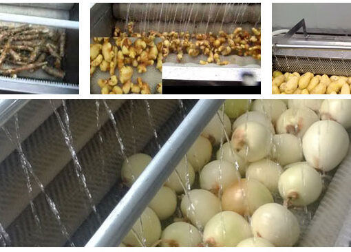 BIS Sets New Hygiene Standards for Veggie Washers