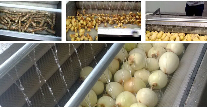 BIS Sets New Hygiene Standards for Veggie Washers
