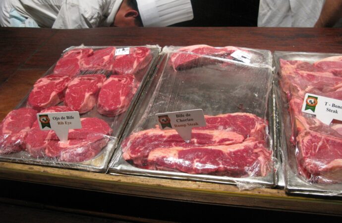E. coli Tragedy: Child Dies, France Shuts Butcher Shops