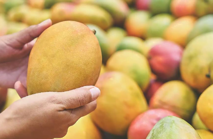 Vellore Officials Seize Chemically Ripened Mangoes in Surprise Raid