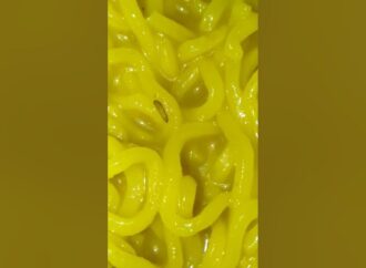 Fast Delivery, Slow Hygiene? Zepto Maggi Noodles Under Fire