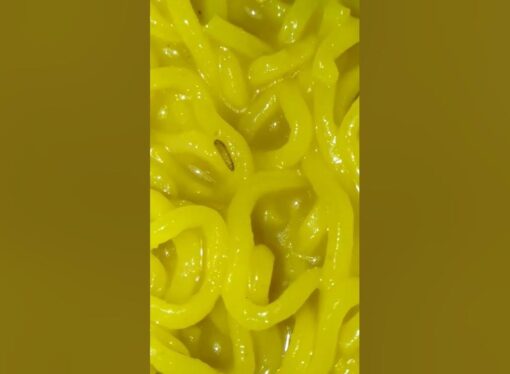 Fast Delivery, Slow Hygiene? Zepto Maggi Noodles Under Fire
