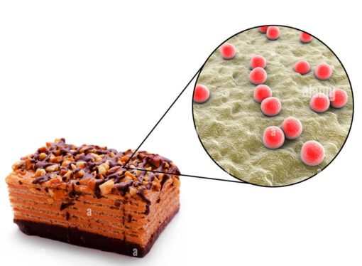 Staph Attack: Unseen Toxins That Outsmart Cooking