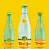 Topo Chico Mineral Water Bottles Recalled for Bacteria Concern