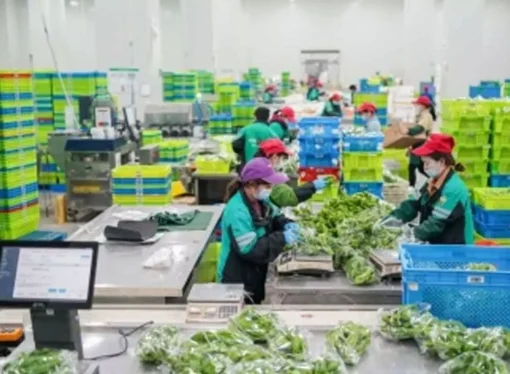 FSSAI flag 500+ e-commerce food warehouses for safety violations