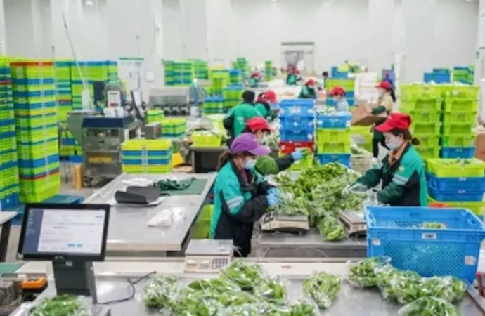 FSSAI flag 500+ e-commerce food warehouses for safety violations