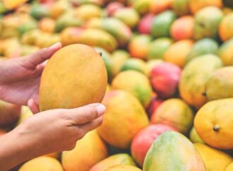 FSSAI Serves Notices for Improper Ripening of Mangoes in Coimbatore