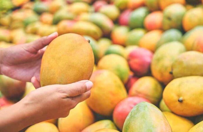 FSSAI Serves Notices for Improper Ripening of Mangoes in Coimbatore