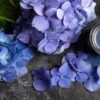 FDA Approves Gardenia Blue: A Natural Alternative to Artificial Dyes