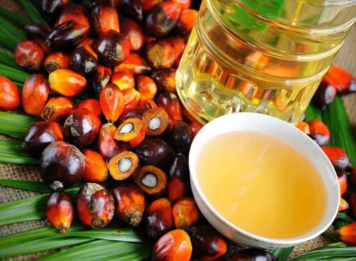 Palm kernel Oil Mixed in Coconut Oil? Kerala Food Safety on Alert!