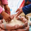 Contaminated Free Ration Found in Amethi, Criminal Case Ordered