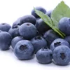FDA Elevates Blueberries Recall to Highest Risk Level