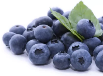 FDA Elevates Blueberries Recall to Highest Risk Level