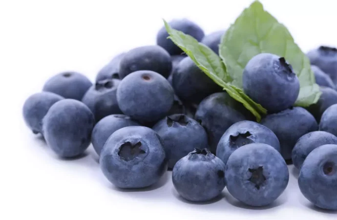FDA Elevates Blueberries Recall to Highest Risk Level