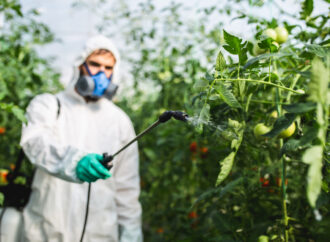 Kerala Faces Cancer Risk from Toxic Pesticides in Imported Vegetables