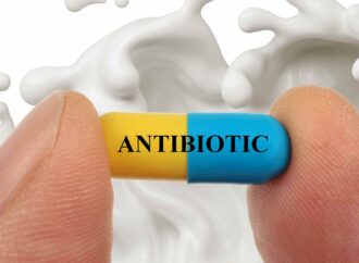 IIT (BHU) Team Develops Portable Sensor to Detect Antibiotic Residues in Food