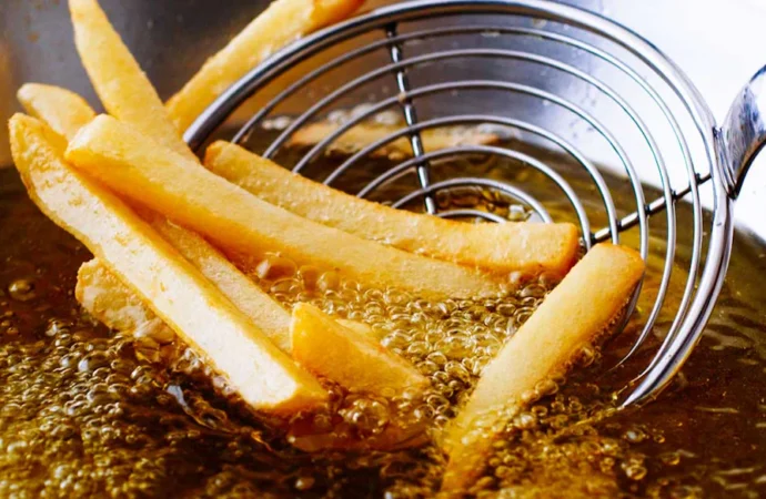 Used Cooking Oil Cleanup: Kerala Steps Up
