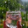 Is Monsoon Rainwater Safe to Drink? Experts Sound the Alarm on ‘Forever Chemicals’