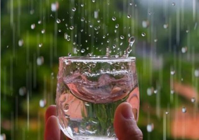 Is Monsoon Rainwater Safe to Drink? Experts Sound the Alarm on ‘Forever Chemicals’