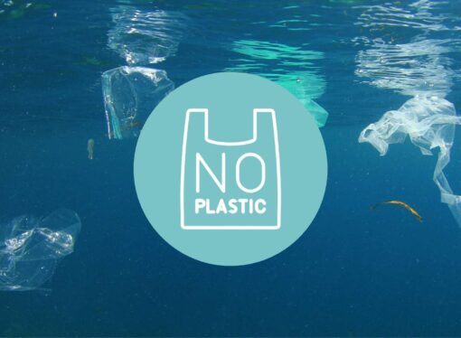 Coimbatore FBOs Invited for State Award on Plastic-Free Practices