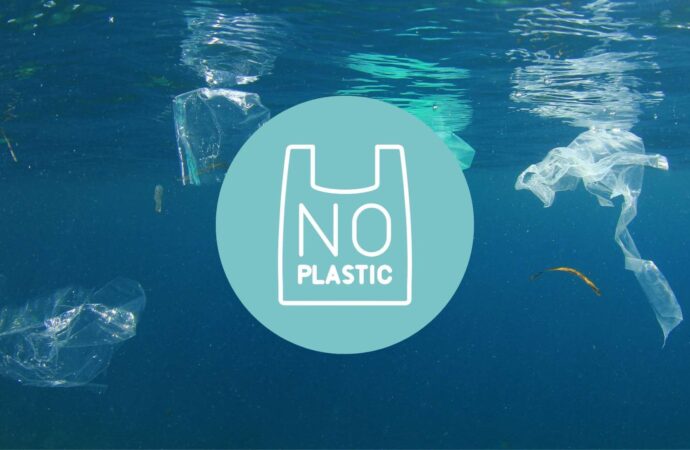 Coimbatore FBOs Invited for State Award on Plastic-Free Practices