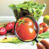 Kerala Steps Up Food Safety Checks for Onam