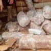 Rotten Meat Crisis in Kashmir: 3,000+ Kilos Seized in One Week