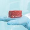 Texas Sued Over Two-Year Ban on Lab-Grown Meat