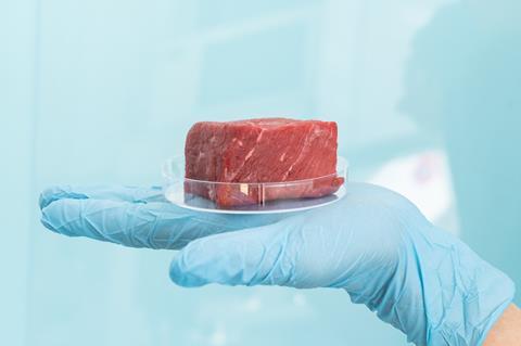 Texas Sued Over Two-Year Ban on Lab-Grown Meat