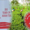 Assam Tea Faces FSSAI Heat, ATPA Pushes for Quality Overhaul