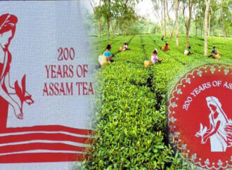 Assam Tea Faces FSSAI Heat, ATPA Pushes for Quality Overhaul