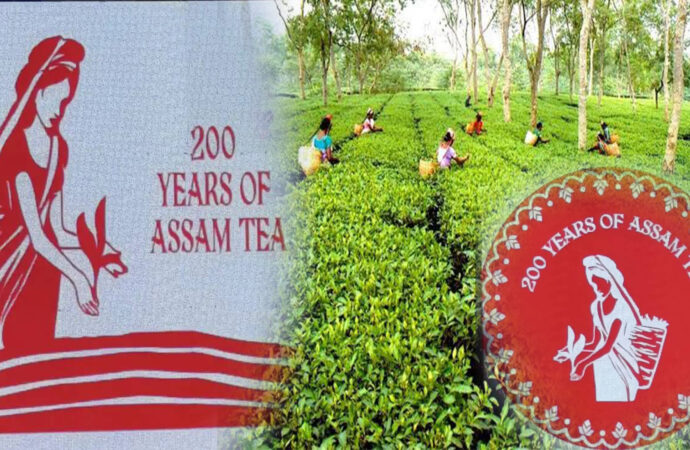 Assam Tea Faces FSSAI Heat, ATPA Pushes for Quality Overhaul