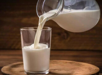 Milk Adulteration Racket Busted in Cuttack, Over 1,000L Seized