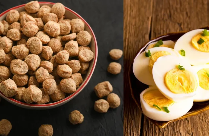 Karnataka Hospitals Replace Eggs with Soy Chunks: Experts Weigh In