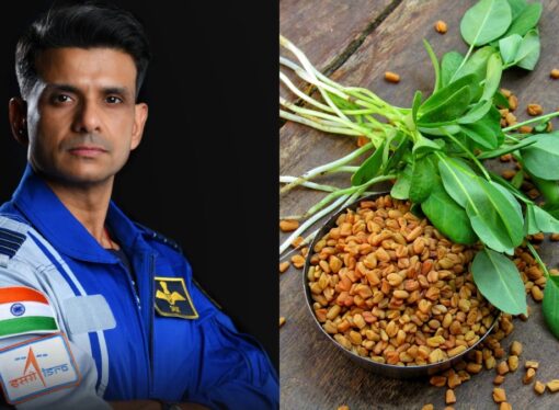 UAS Dharwad Studies Space-Grown Fenugreek and Green Gram Sprouts