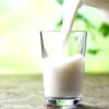 Urea in Milk? Kerala Steps Up Border Inspections