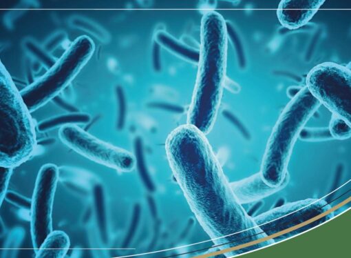 Water Crisis in Karumaloor, Ernakulam: E. coli Found, Residents Demand Swift Action