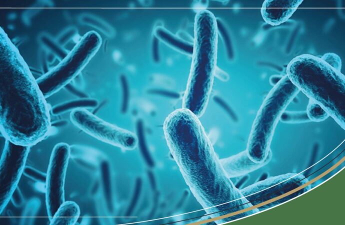 Water Crisis in Karumaloor, Ernakulam: E. coli Found, Residents Demand Swift Action