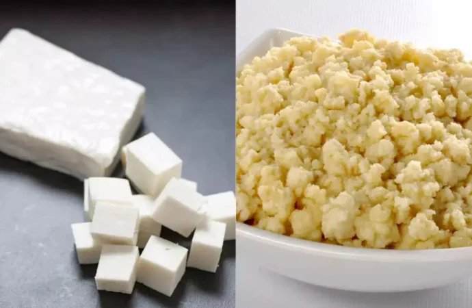 Festive Food Alert: Contaminated Paneer and Khoya Seized Across India