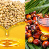 IVPA Pushes for Faster Self-Reliance in India’s Edible Oil Sector