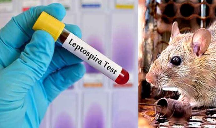 Kitchen Licence Suspended After Rat Fever Outbreak in Tirunelveli College