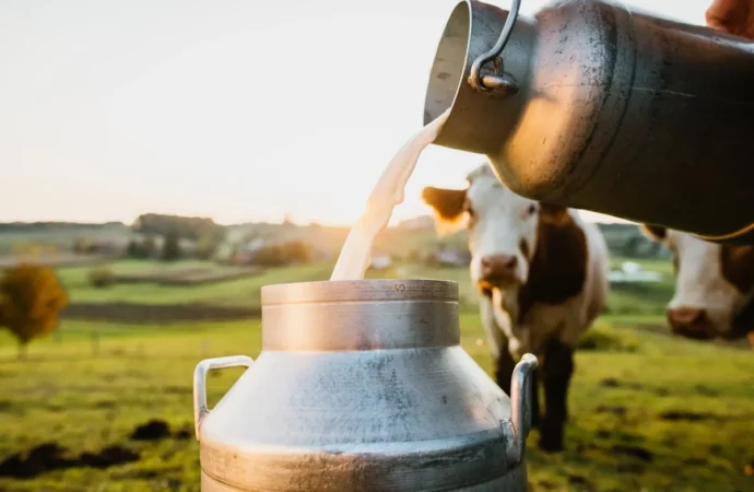 India Tops Global Dairy Production with 25% Share
